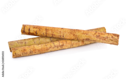 fresh burdock root or Gobo on white background