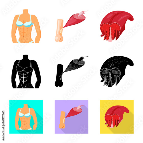 Vector illustration of fiber and muscular symbol. Collection of fiber and body  vector icon for stock.