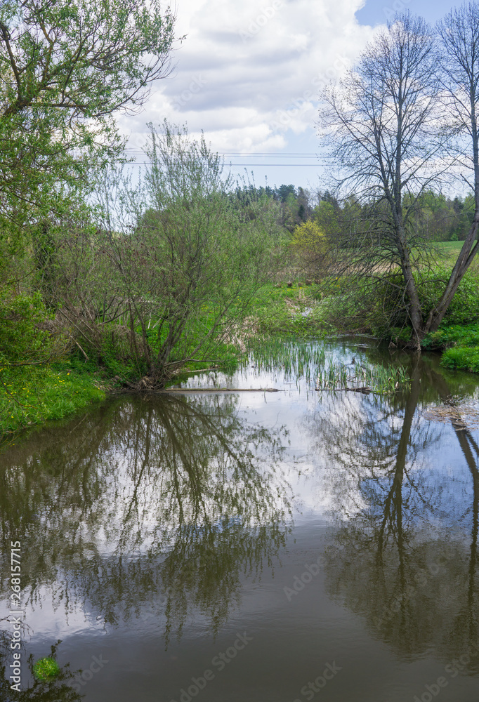 Old riverbed with water overgrown with reeds. Old riverbed with water overgrown with reeds.