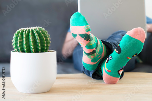 A man in crazy multi-coloured socks with feet and a cactus on table. Man working on a laptop computer at home