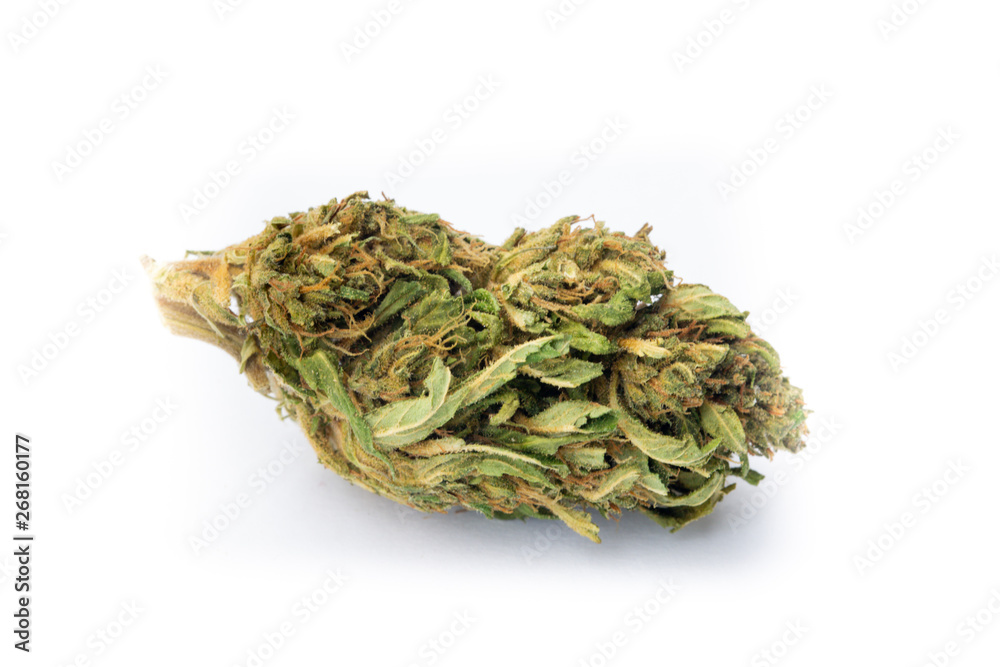 Legal Marijuana flowers on simple background Legal Marijuana flowers on simple background