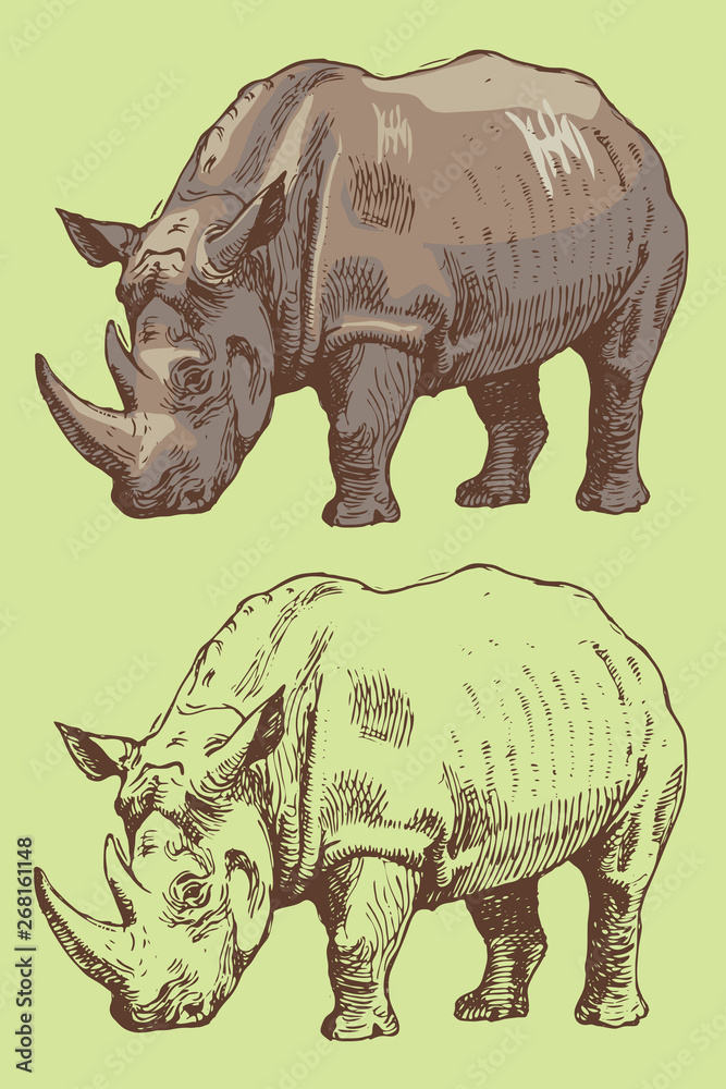 Fototapeta premium vector image of the African rhino in the style of art graphics watercolor sketch