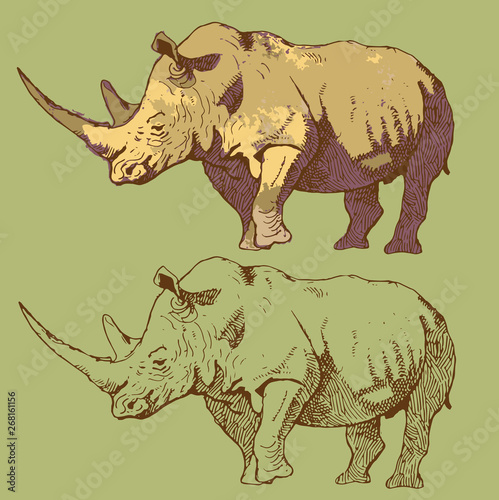  Vector image of a big wild rhino in sketch art style.