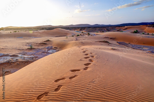 Foot prints along a sand dune in the Sahara Desert