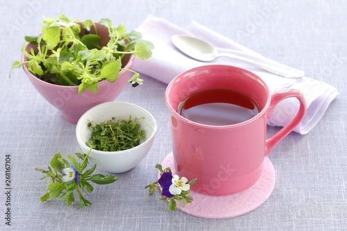 Heartsease tea (Viola tricolor) 