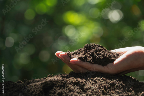Hand of male holding soil in the hands for planting.