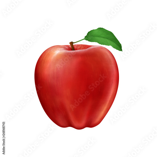 Red apple with leaf realistic illustration isolated on white background.