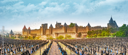 View of the medieval city of Carcassonne from a vineyard, France