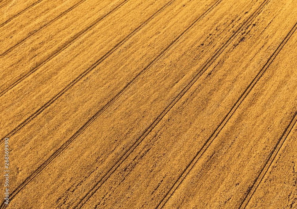 The scenic view of tractor traces through a farm field. Aerial view. Abstract surface The scenic view of tractor traces through a farm field. Aerial view. Abstract surface