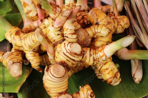 Fresh galangal for cooking in the market