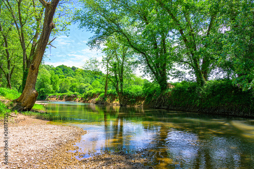 River in forest springtime
