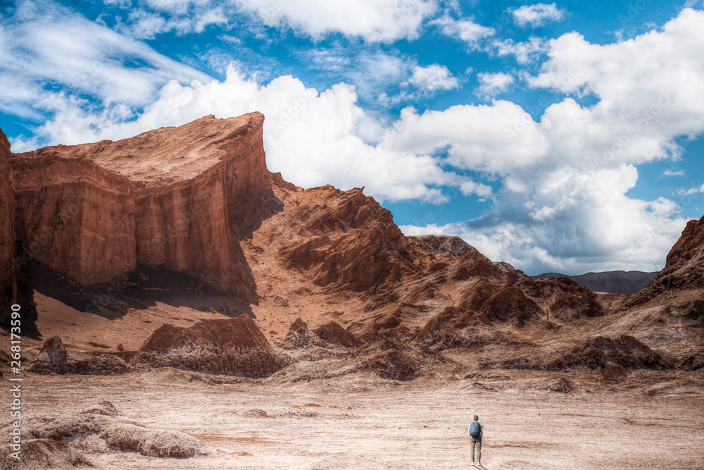 Fototapeta premium Valle de la Luna (Moon Valley)