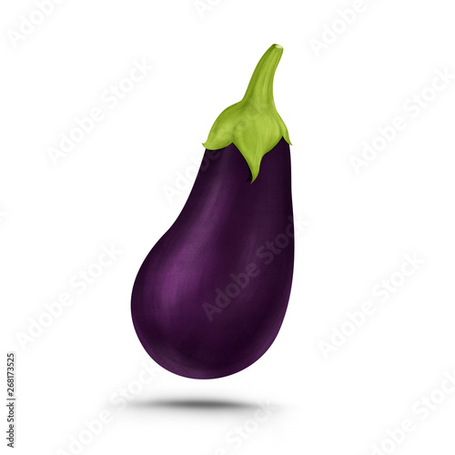 Eggplant brinjal realistic illustration, isolated on white background.
