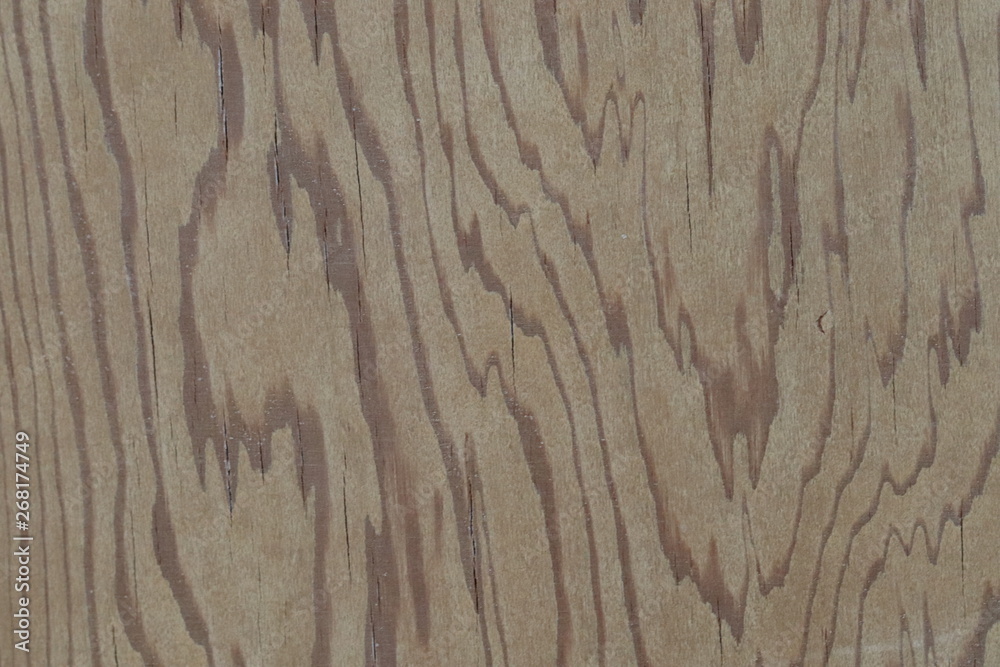 Naklejka premium Close Up Wood Door Texture