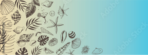 Vector seashell banner