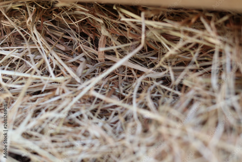 Close Up Hay Bug Hotel Texture Close Up Hay Bug Hotel Texture