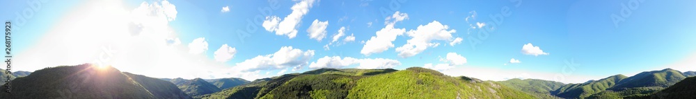 Mountain forest horizontal panorama