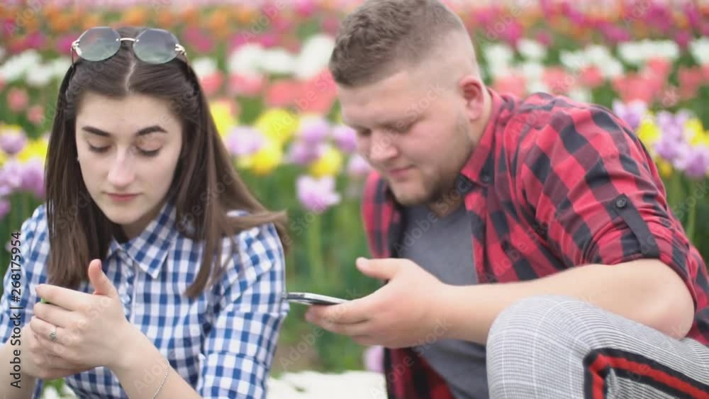couple sitting in nature and looking at the phone couple sitting in nature and looking at the phone