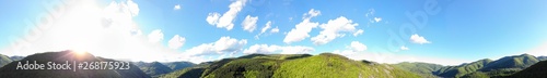 Mountain forest horizontal panorama