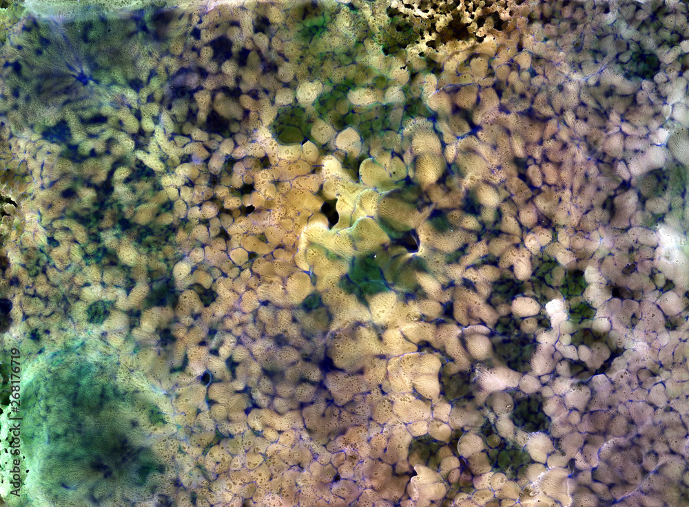 Abstract watercolor acrylic alcohol inc background texture Abstract watercolor acrylic alcohol inc background texture