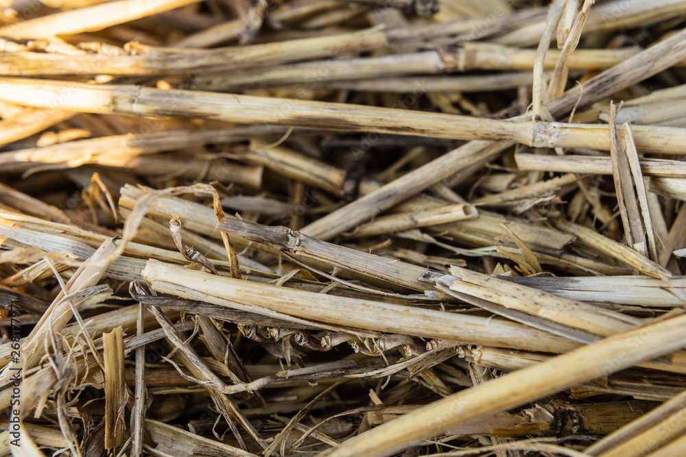 Close up of dry straw background texture Close up of dry straw background texture