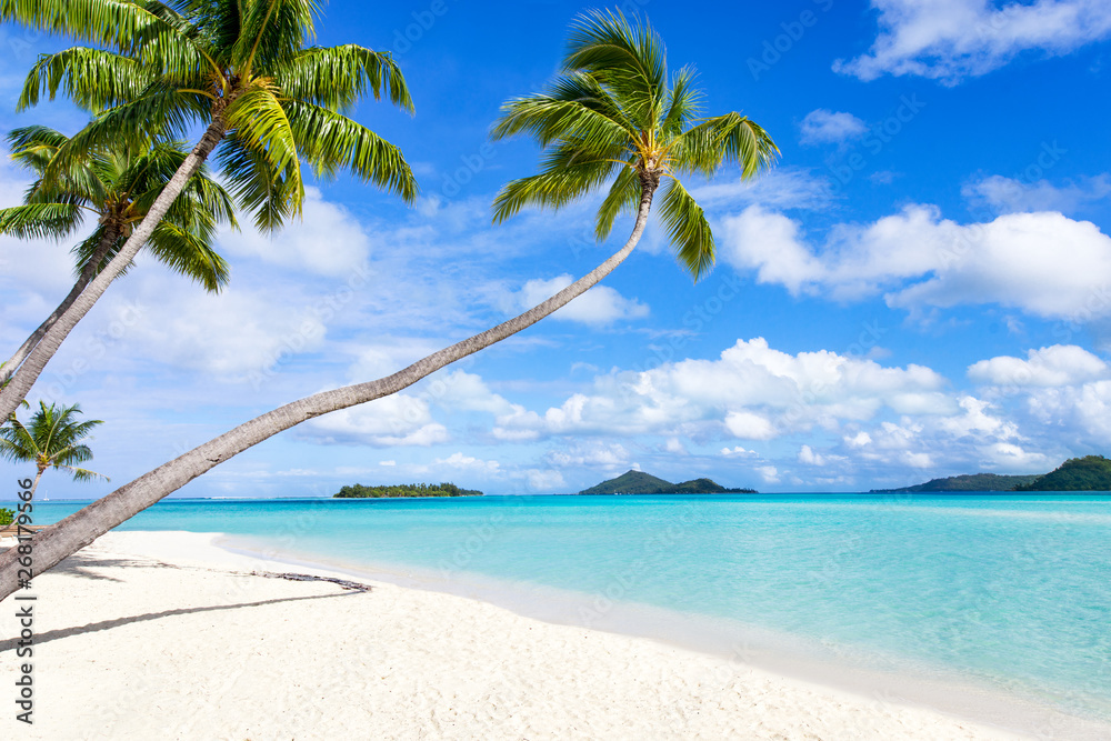 Sommer, Sonne, Strand und Meer im Urlaub Stock-Foto | Adobe Stock
