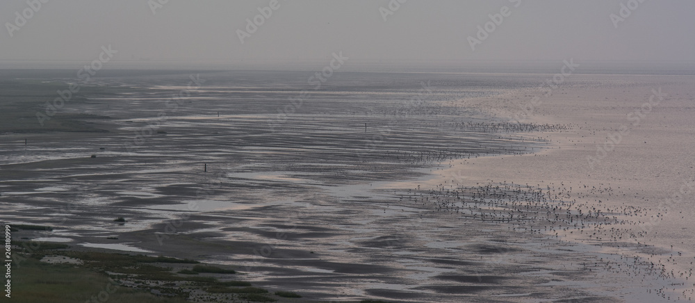 Fototapeta premium Panorama, Het oerd, Ameland, the Netherlands