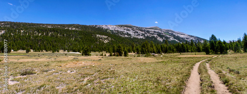 Hiking Lyell Canyon in the High Sierra Mountains in Yosemite National Park in California  photo