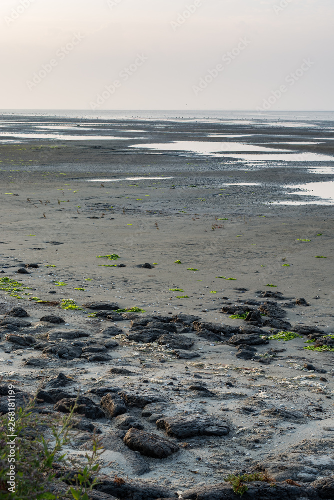 Dutch seascape, Het Oerd, Ameland wadden island, the Netherlands Dutch seascape, Het Oerd, Ameland wadden island, the Netherlands