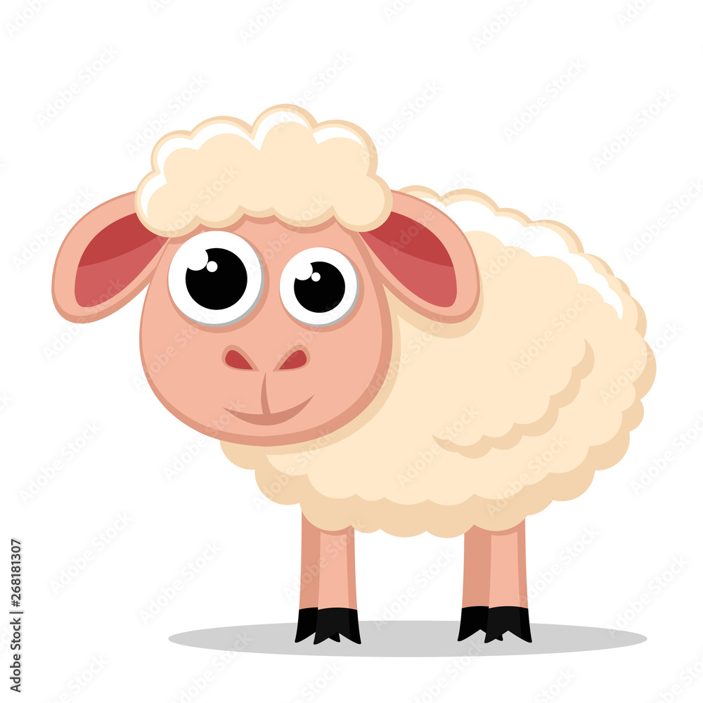 Cute sheep stands on a white. Animal Cute sheep stands on a white. Animal