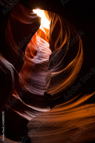 portrait of man in nature photo