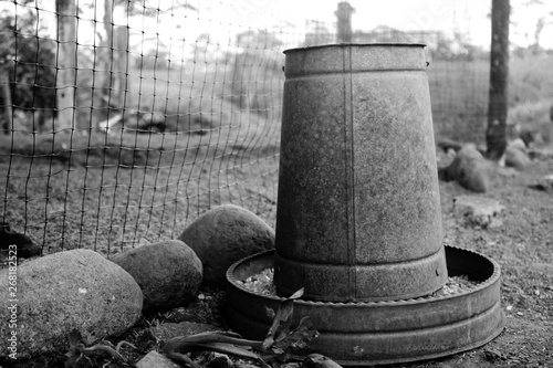 Retro free range food bucket for chickens filled with mais in black and white