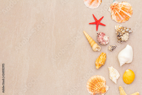 Seashells summer background