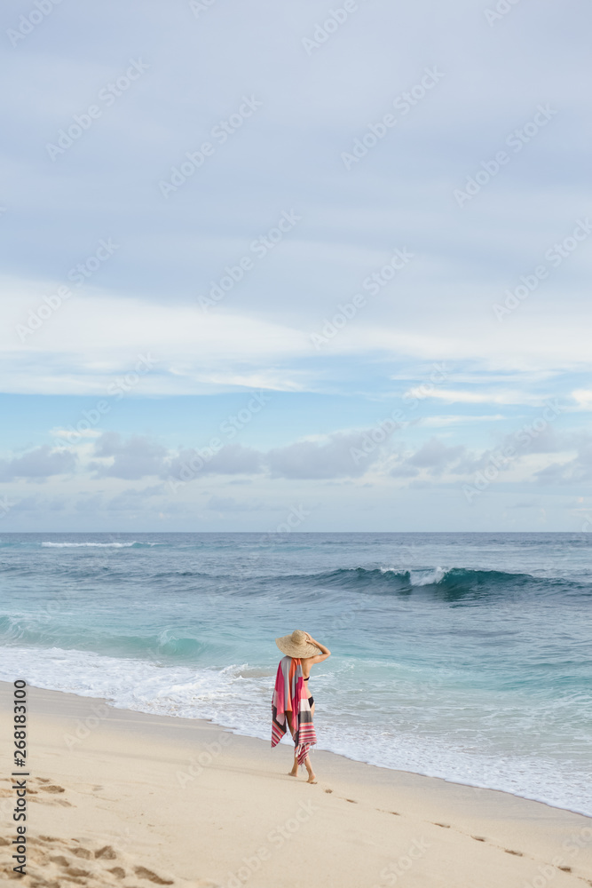 Back view: woman in swimwear walk on the beach Back view: woman in swimwear walk on the beach