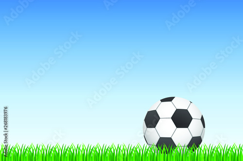 Background of football ball on green grass and blue sky vector illustration. 