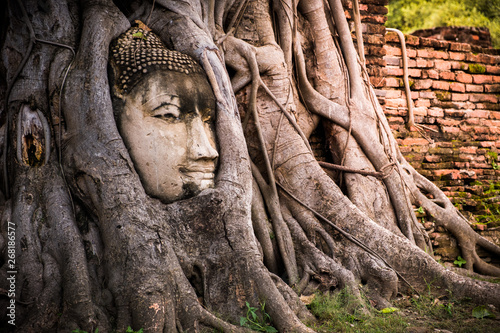 Buddha head in tree ayutthaya Thailand travel concept. Wat Mahathat temple is favorite place of Ayutthaya and world heritage.The buddha face is amazing.