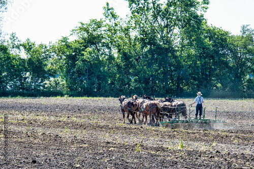 Amish Man Cultivating Field in Rural Indiana