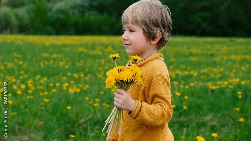 Cute little boy walking with dandelions, summer outdoors