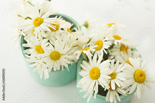 bouquet of delicate fresh spring daisies in green vases