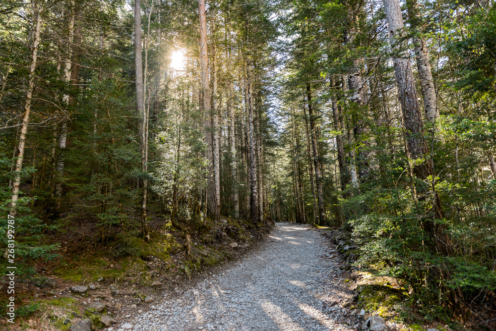 Fototapeta premium Hiking trail in Ordesa National Park, Pyrenees, Huesca, Aragon, Spain.