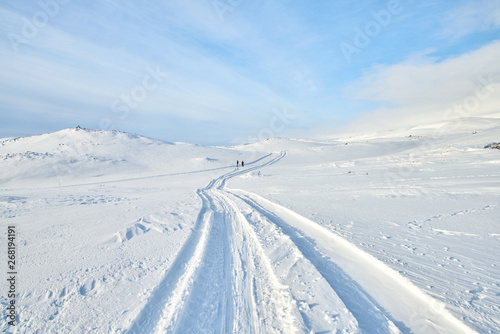 Frozen Tracks photo