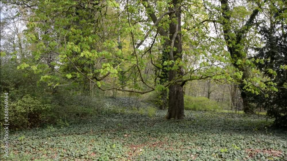 Spring Impressions from Western Ditch in Citadel Park in Berlin Spandau on April 13, 2016, Germany Spring Impressions from Western Ditch in Citadel Park in Berlin Spandau on April 13, 2016, Germany