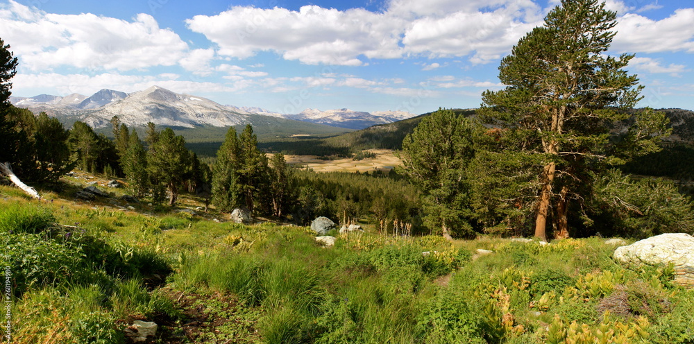 Obraz premium Hiking Mono Pass in the High Sierra Mountains in Yosemite National Park in California
