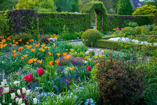 D, Bayern, Augsburg, Botanischer Garten im Frühjahr, im Bauerngarten photo