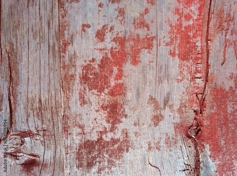 Wood surface and texture as a graphic resource Wood surface and texture as a graphic resource