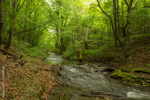 Fototapeta Naklejka Na Ścianę i Meble -  A small river deep in the green forests of Bulgaria in spring rainy day.