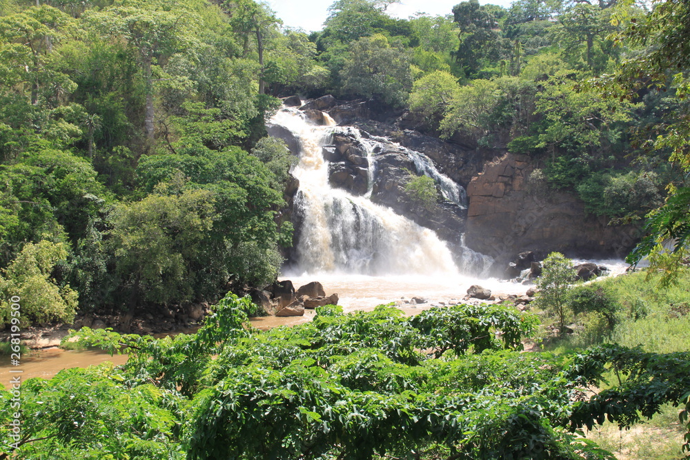 custom made wallpaper toronto digitalwaterfall in deep african forest