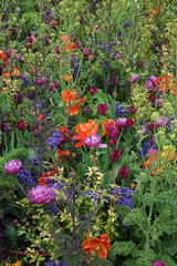 Beautifully composed late spring border