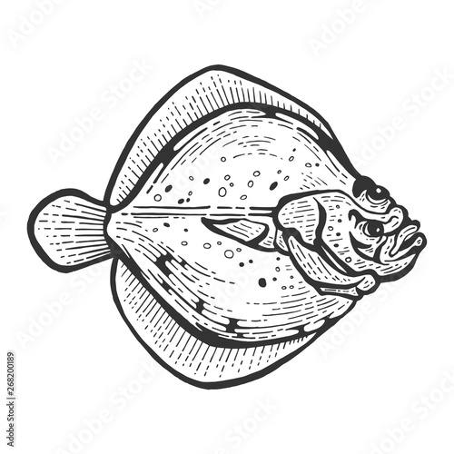 Fotografie, Tablou Flounder flatfish plaice fish animal sketch engraving vector illustration