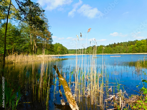 Fototapeta Naklejka Na Ścianę i Meble -  Die Uckermark mit all seinen reizen